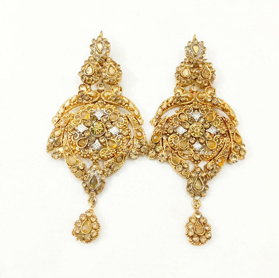 Trendy Earrings Pair