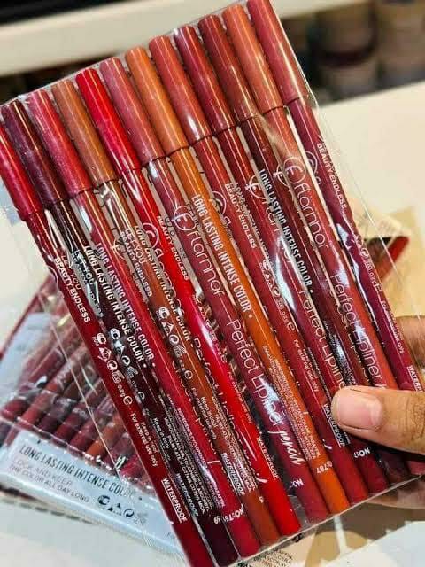 High Pigmented Multicolor Lip Pencil Set - Pack Of 12