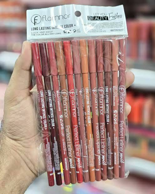 High Pigmented Multicolor Lip Pencil Set - Pack Of 12