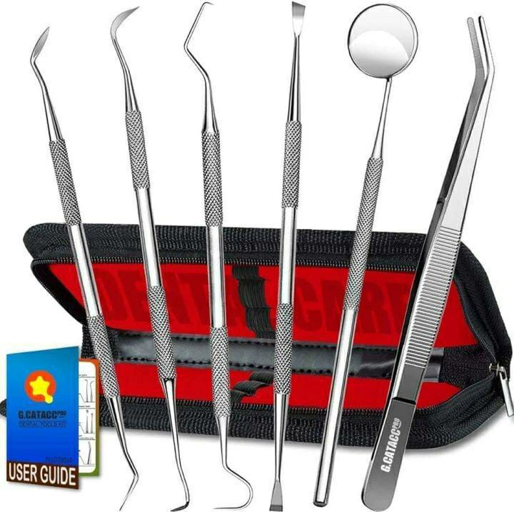 6 Pcs Dental Kit