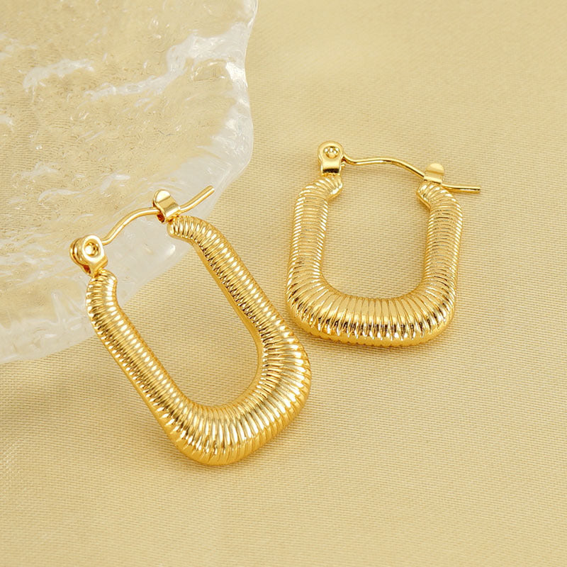 Titanium Steel Earrings For Women