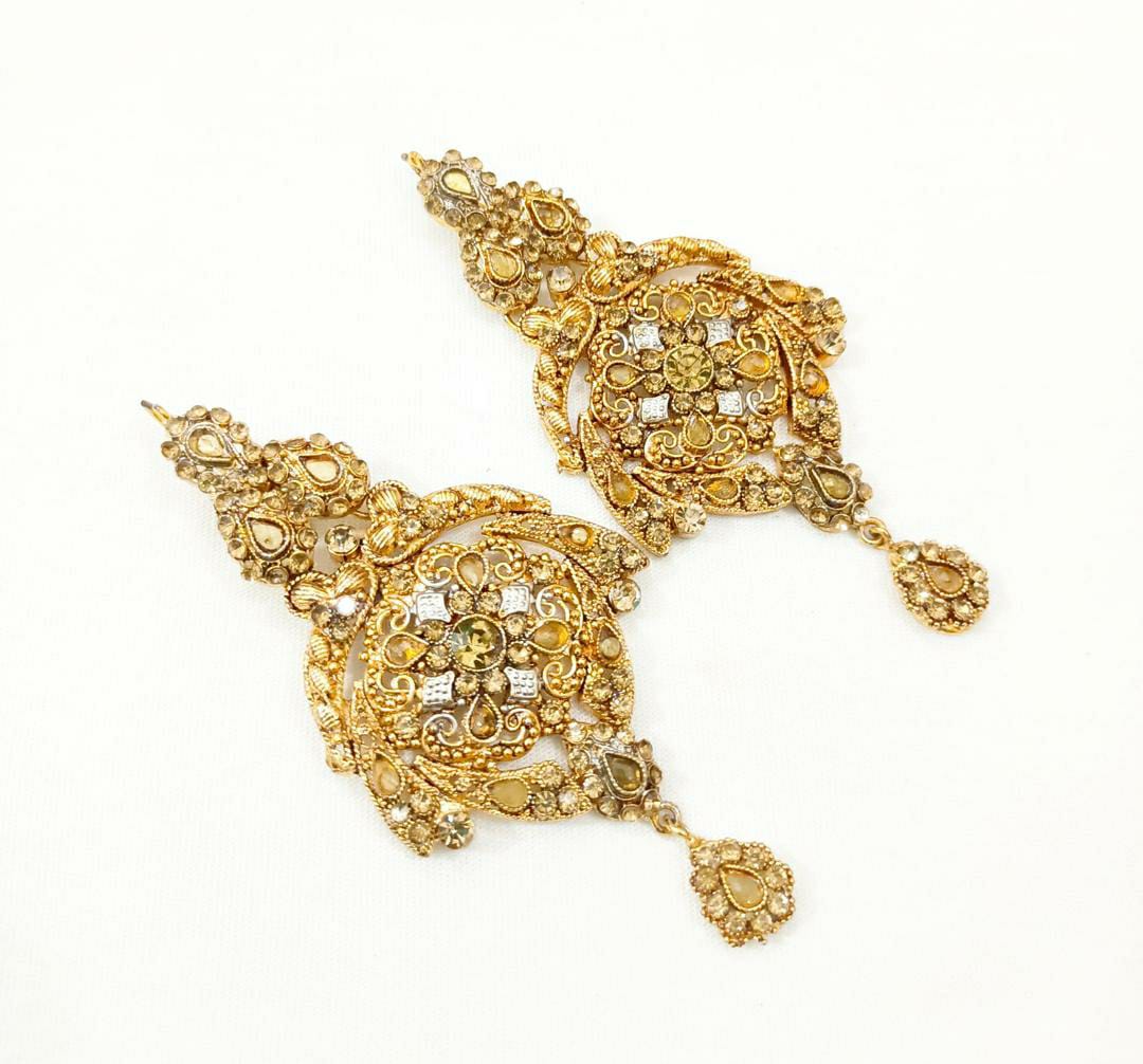 Trendy Earrings Pair
