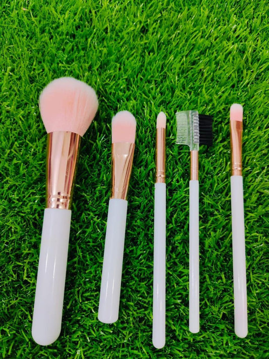 5 Pcs Blending Eye Makeup Brushes Set