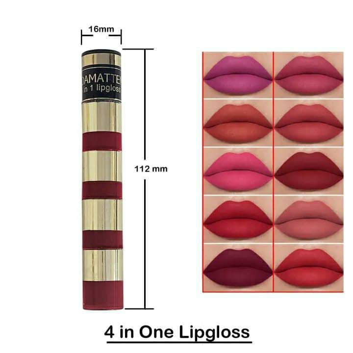 4 In 1 Velvet Glossy Lip Gloss