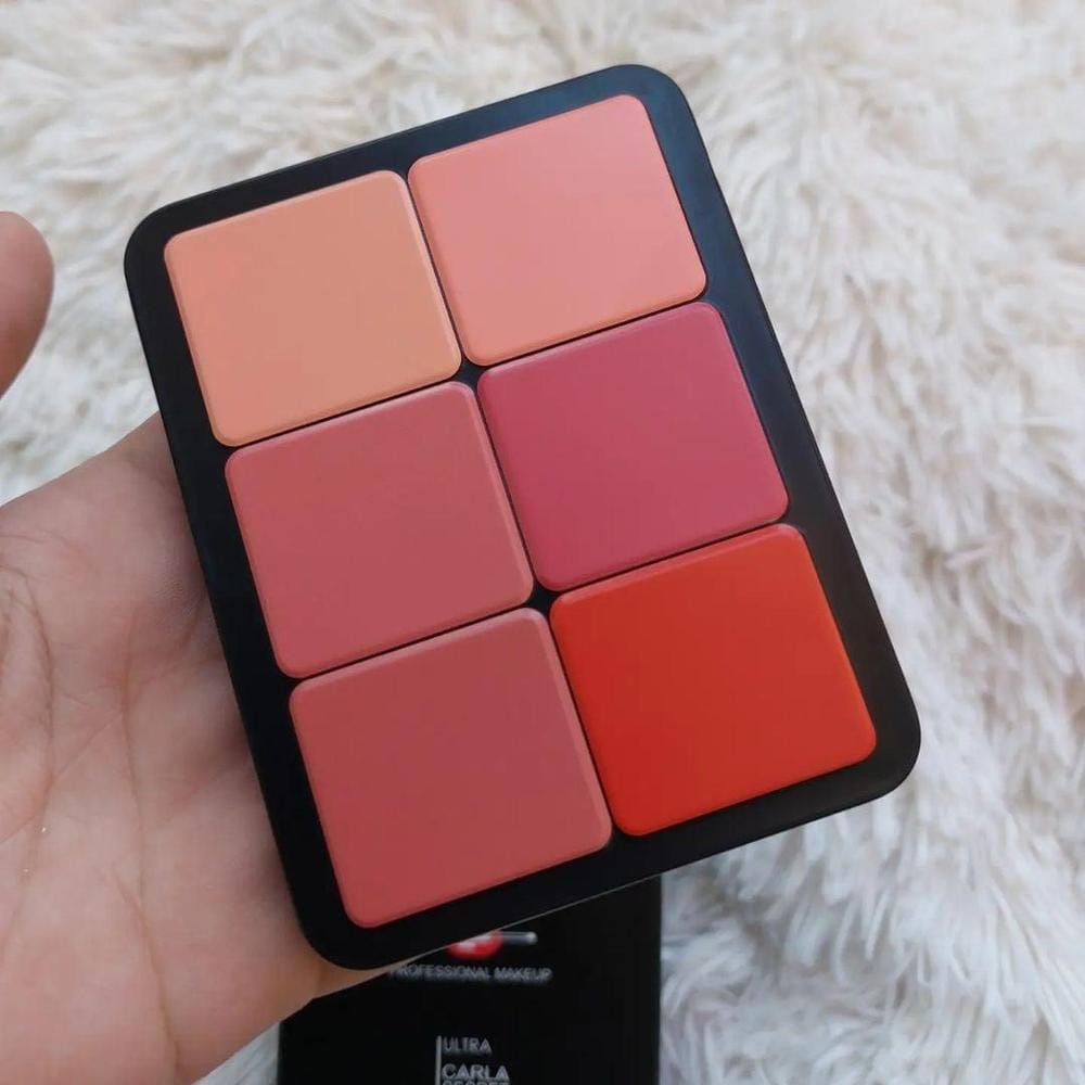 12 In 1 Blush Palette