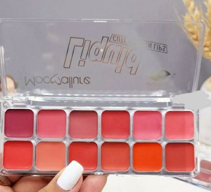 12 in 1 Lipstick and Blush Palette