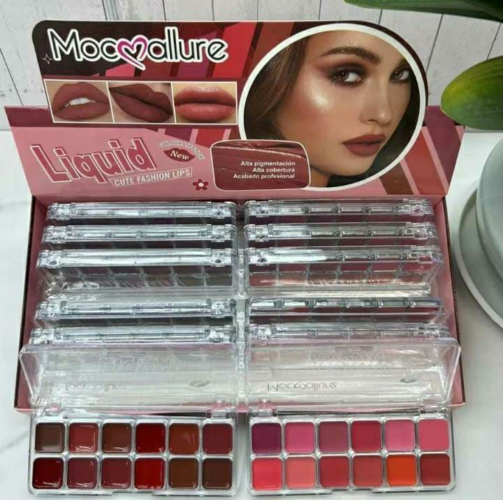 12 in 1 Lipstick and Blush Palette